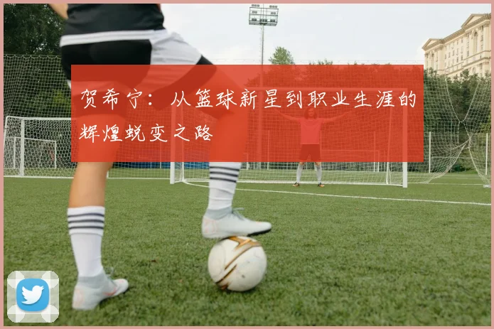 贺希宁：从篮球新星到职业生涯的辉煌蜕变之路