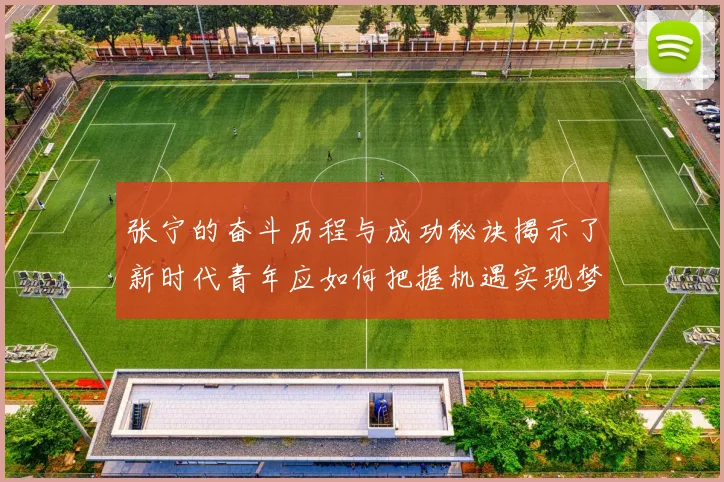 张宁的奋斗历程与成功秘诀揭示了新时代青年应如何把握机遇实现梦想
